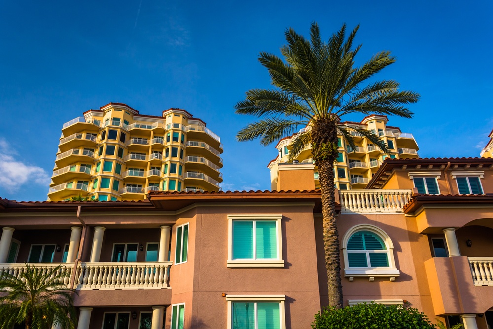 Palm trees, houses and condo towers in Saint Petersburg, Florida.